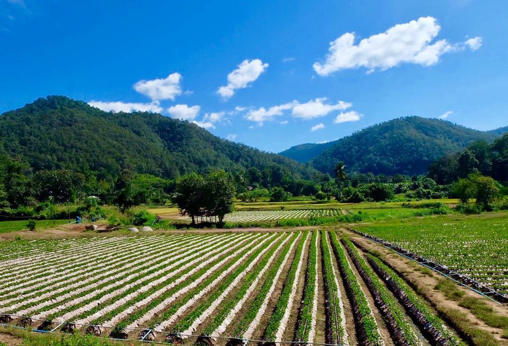 Wongwan Farm Villa สะเมิง ภายนอก รูปภาพ